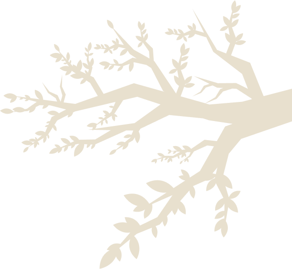 fa-motivum-tisztas-2
